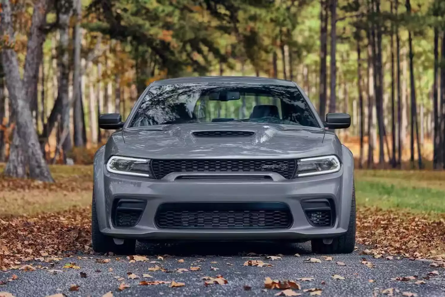 Dodge Charger rear storage