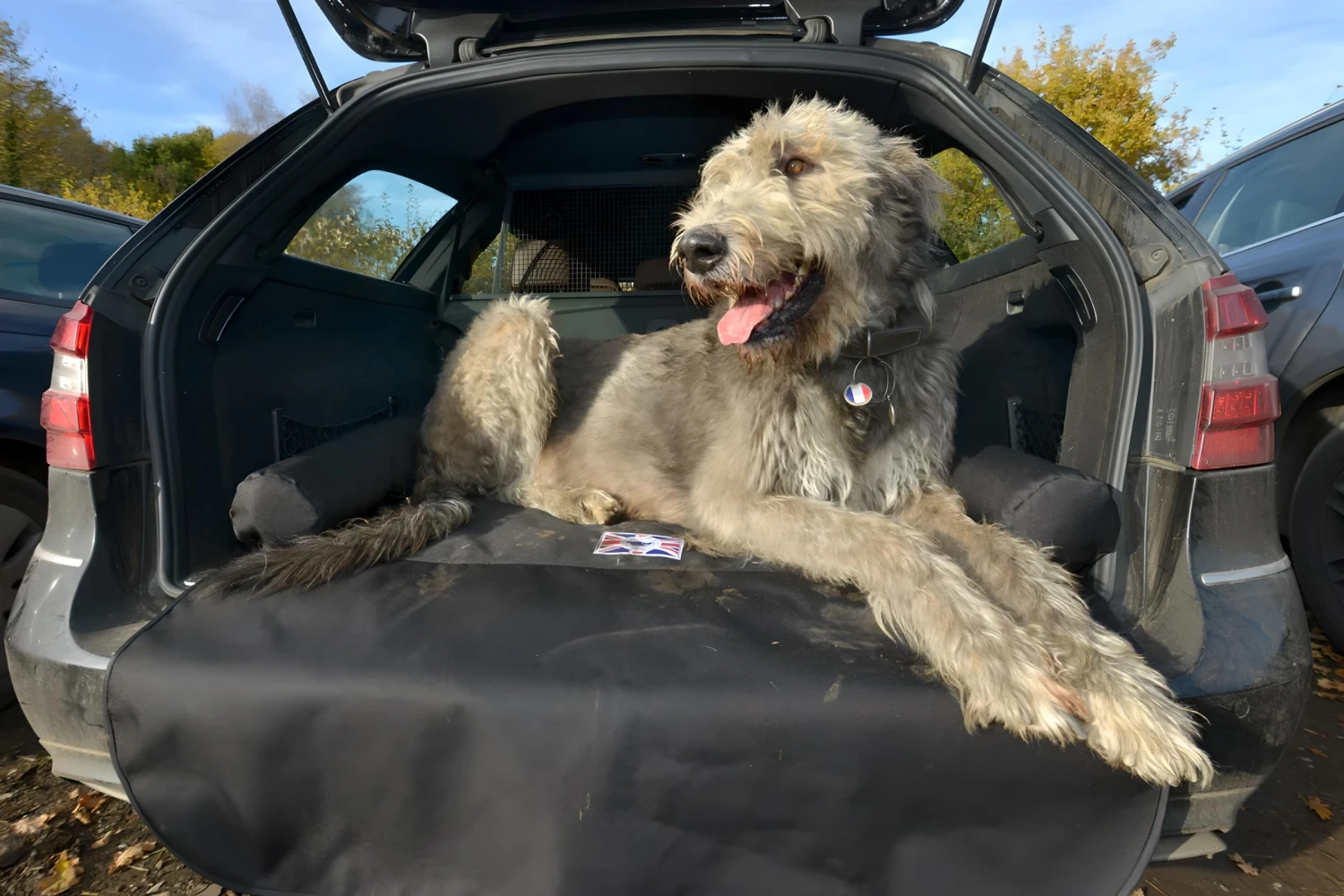 Mazda CX-5 Dog Safety Belt for Irish Wolfhounds