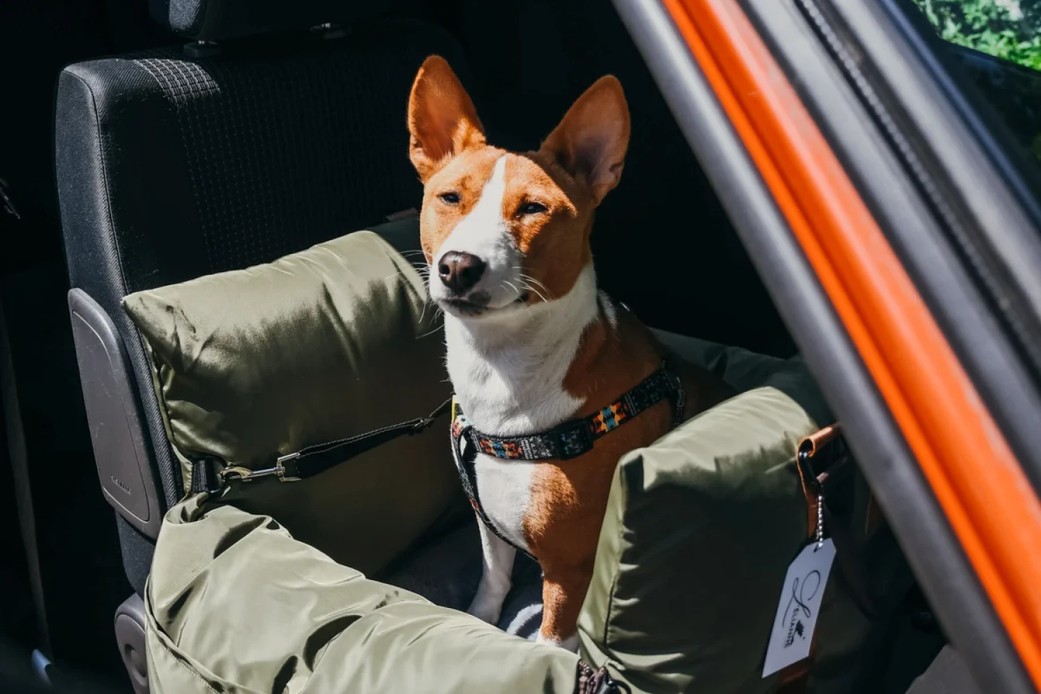 Ford Explorer Dog Safety Belt for Basenjis