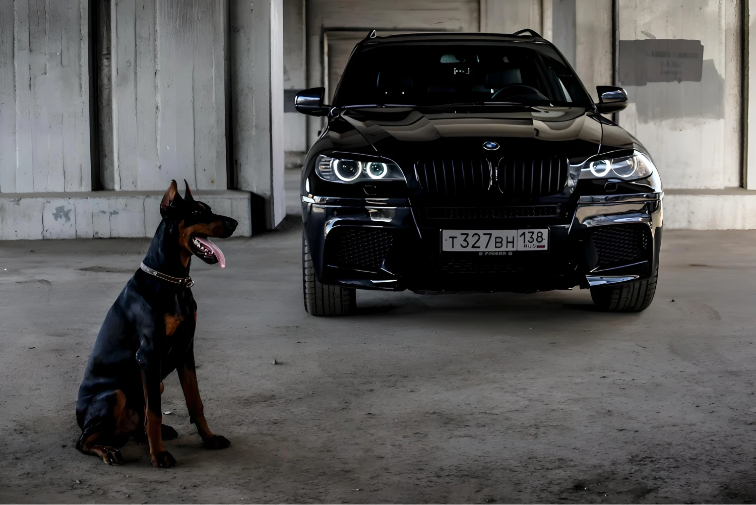 trunk organizer for BMW X5