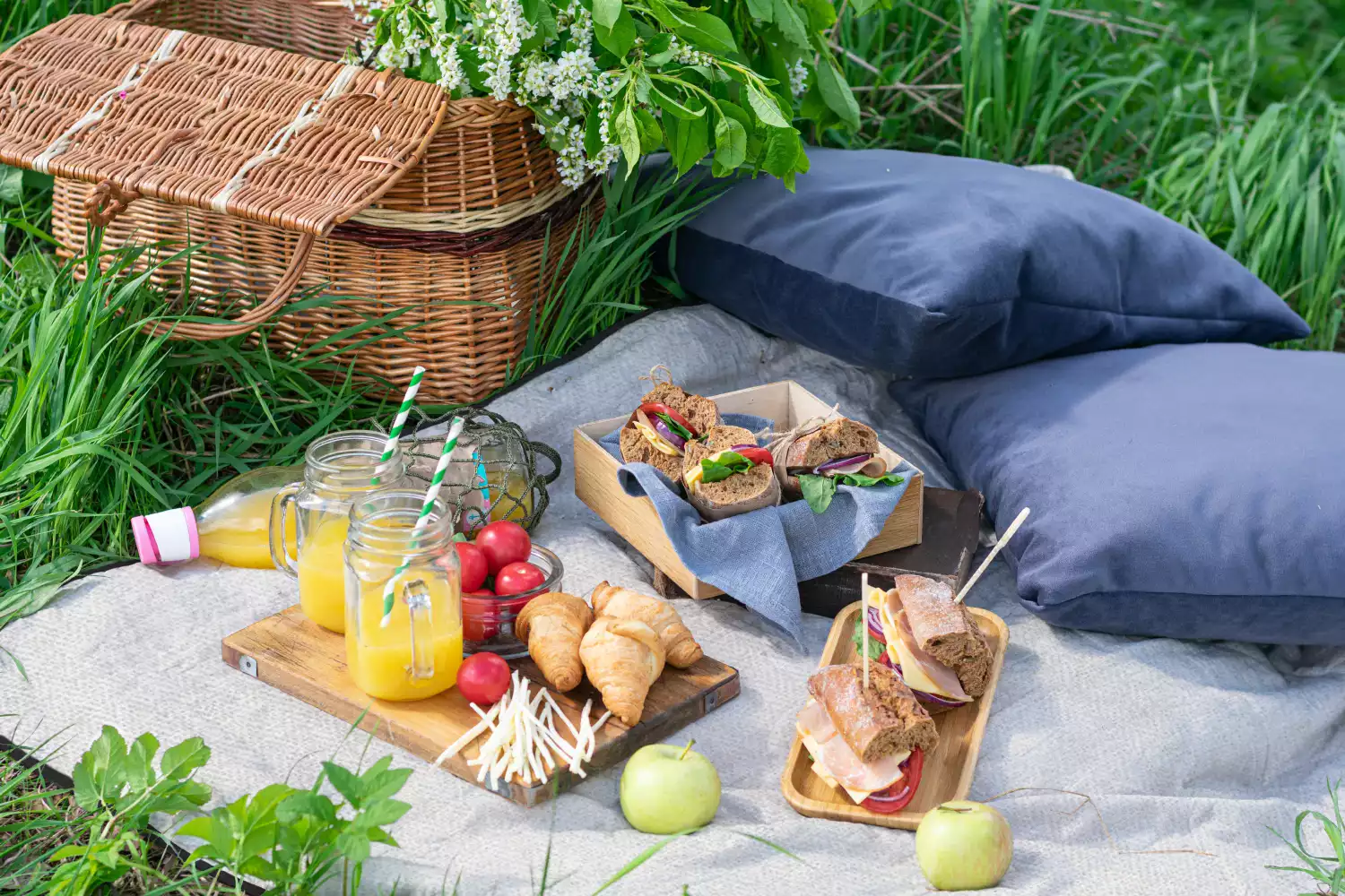 biggest picnic blanket