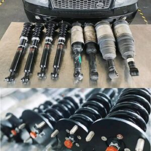 Front and rear shocks