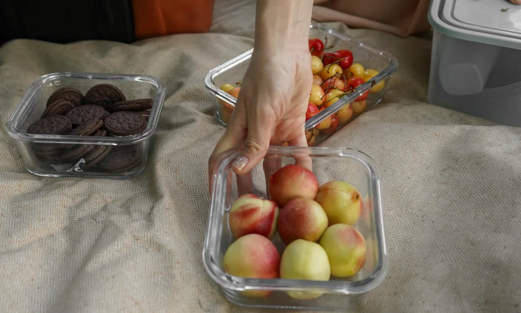 best picnic and beach blanket