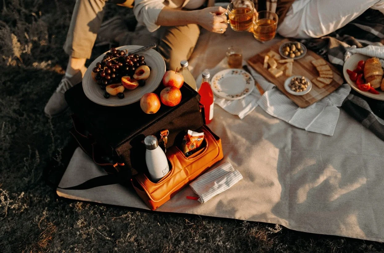 outdoor blanket picnic